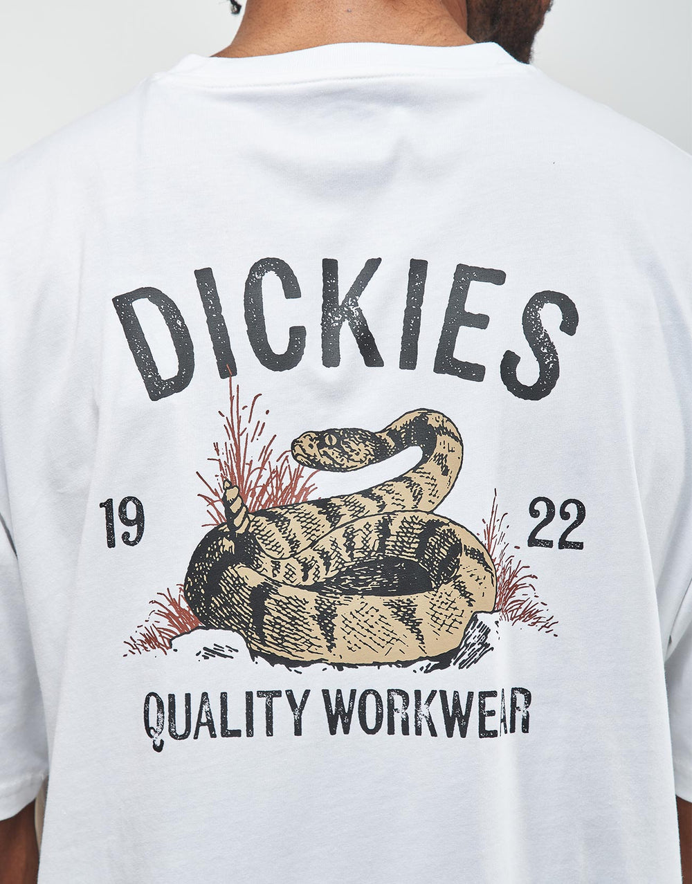 Dickies Snake T-Shirt - White