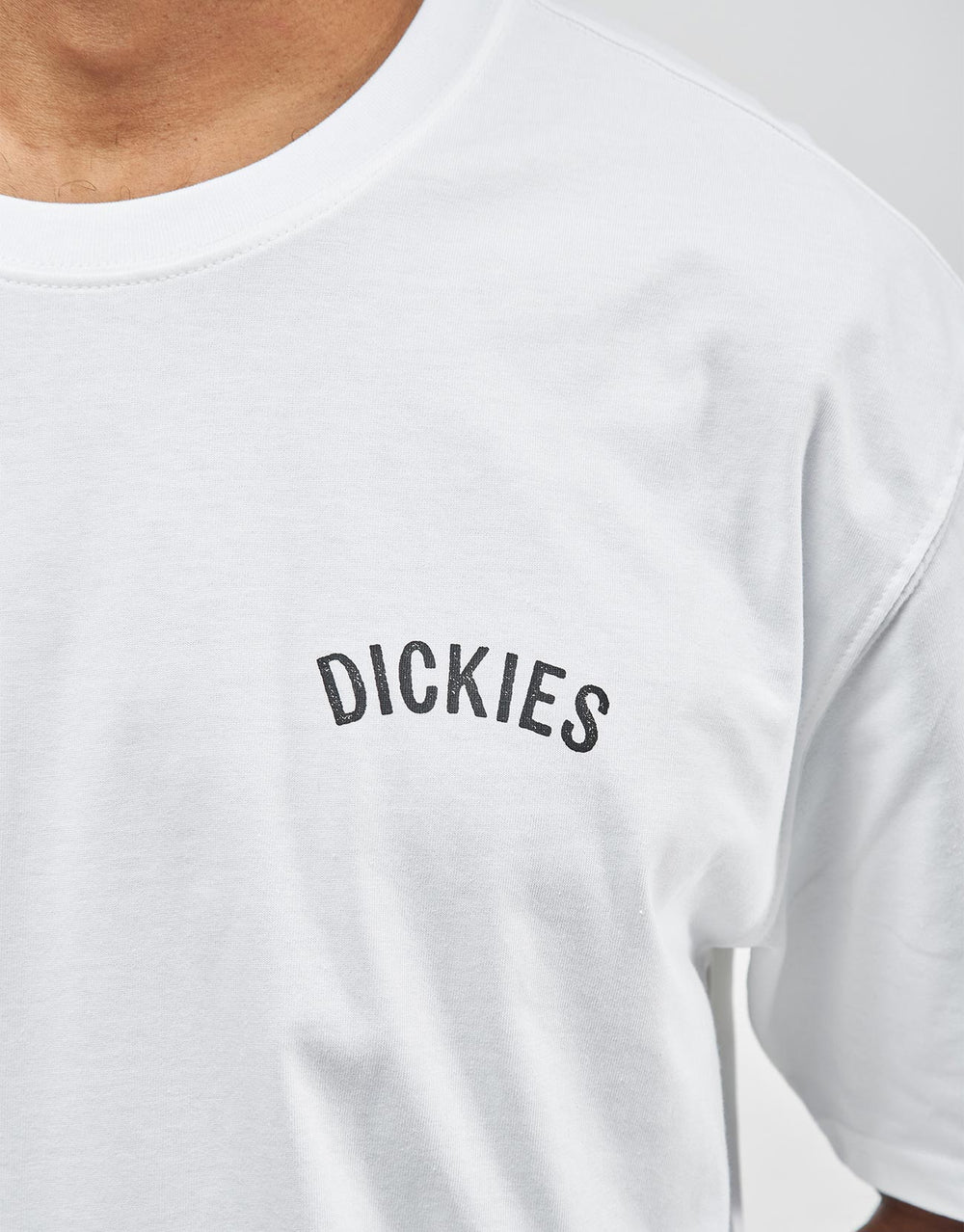 Dickies Snake T-Shirt - White