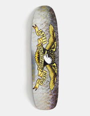 Anti Hero  The Sardine Eagle Skateboard Deck - 8.36"