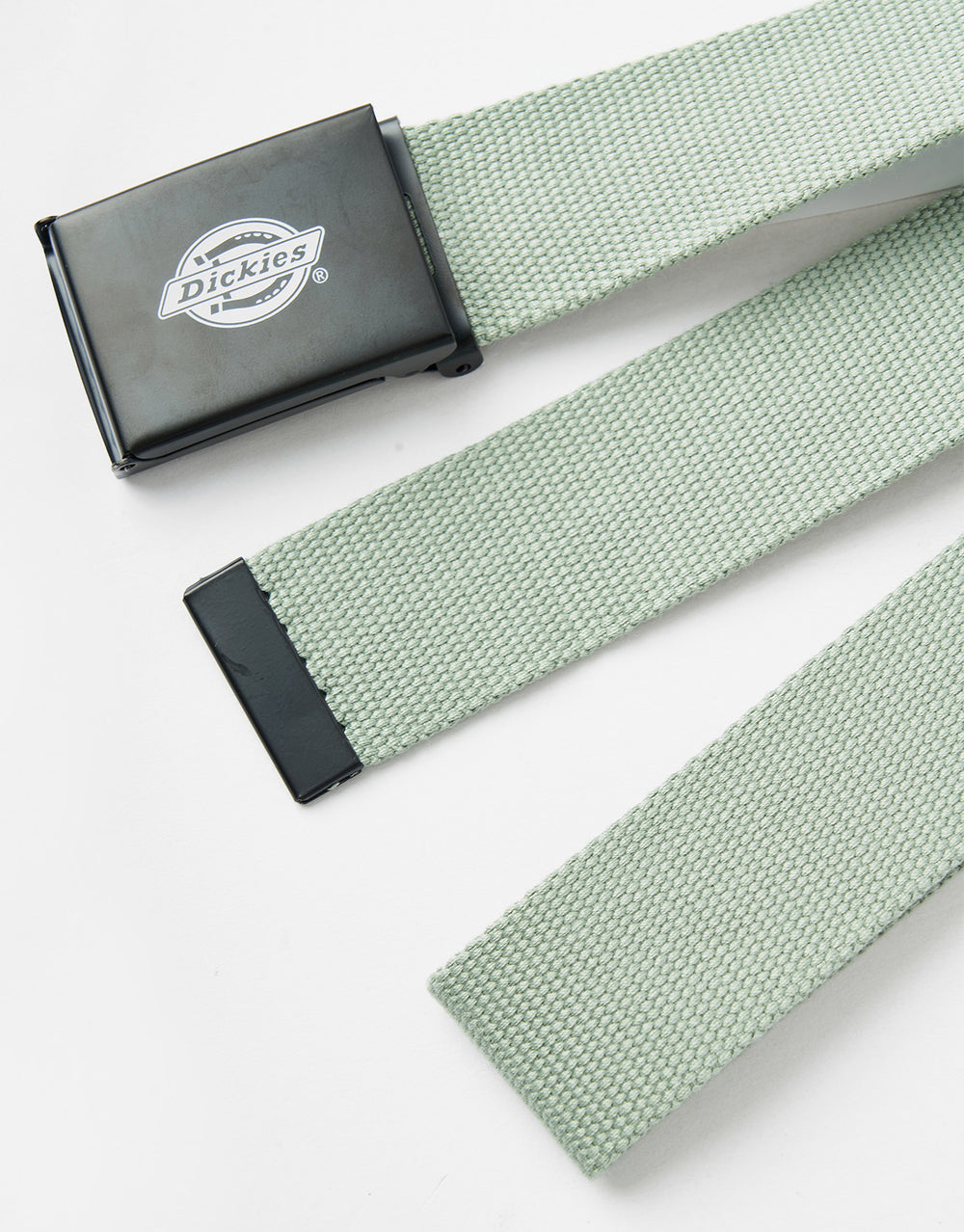 Dickies Orcutt Web Belt - Iceberg Green