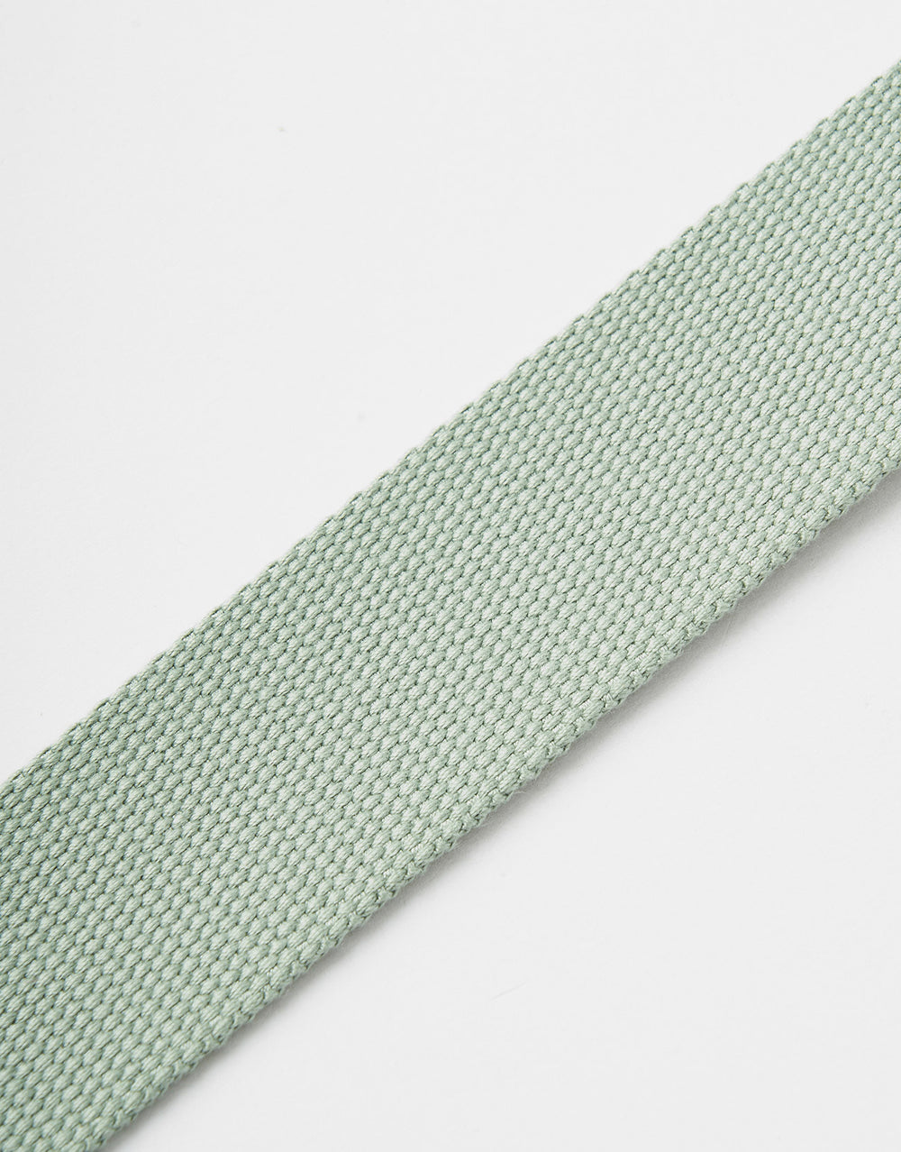 Dickies Orcutt Web Belt - Iceberg Green