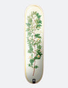 Plan B McClung Bloom Skateboard Deck - 8"