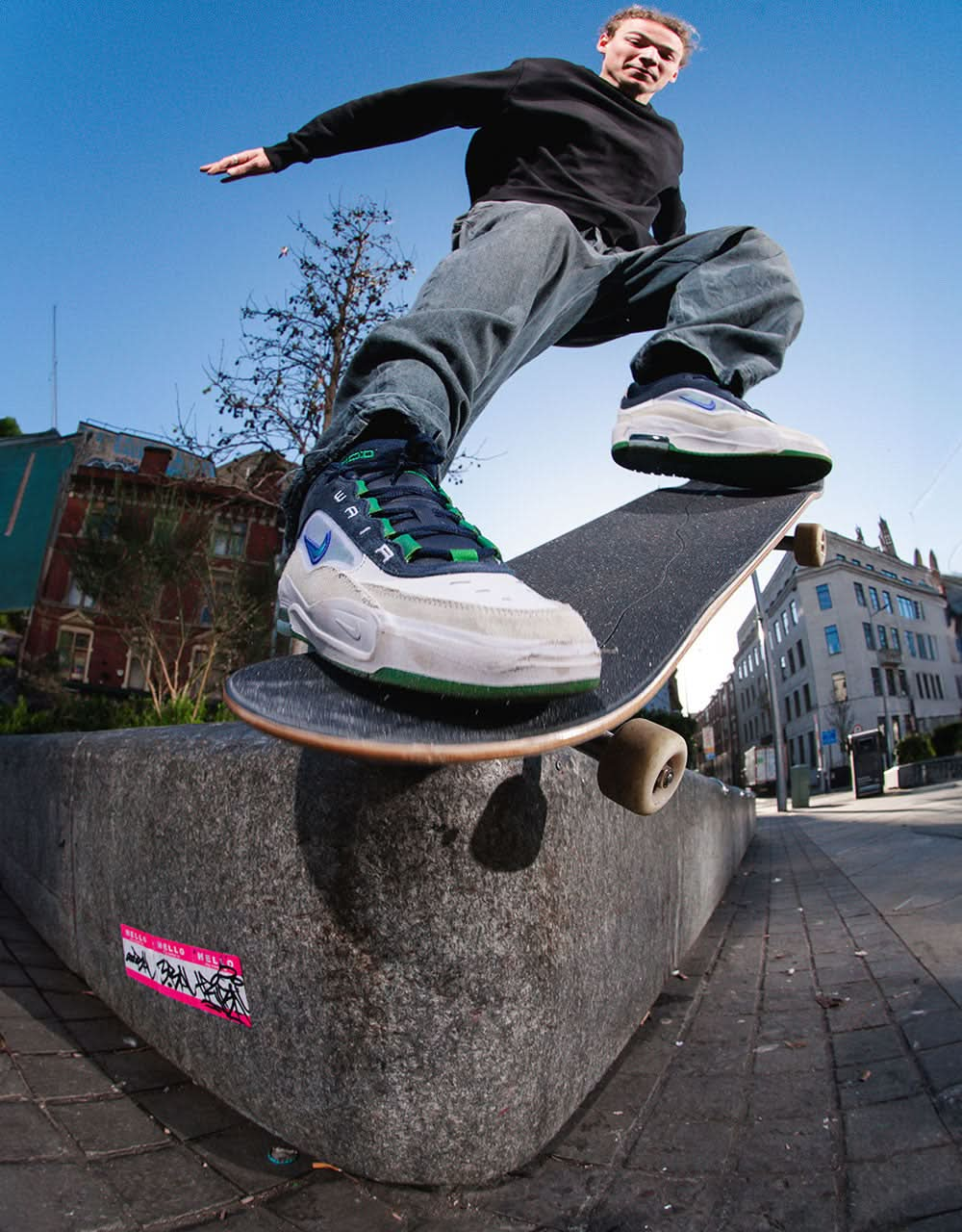 Nike SB Air Max Ishod Zapatillas de skate - Blanco/Violeta persa-Obsidiana-Verde pino-Blanco cumbre