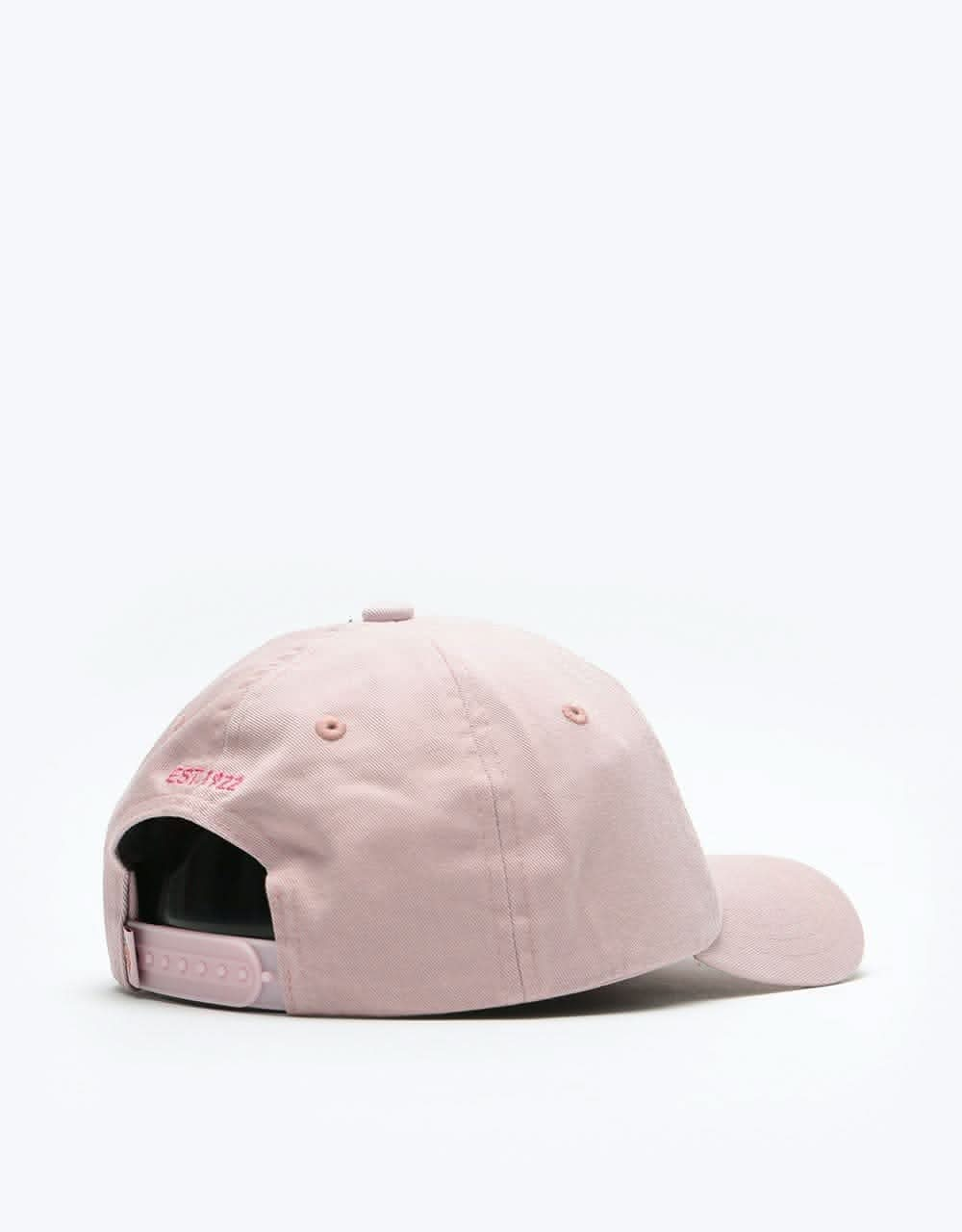 Dickies Hardwick Snapback Cap - Violet