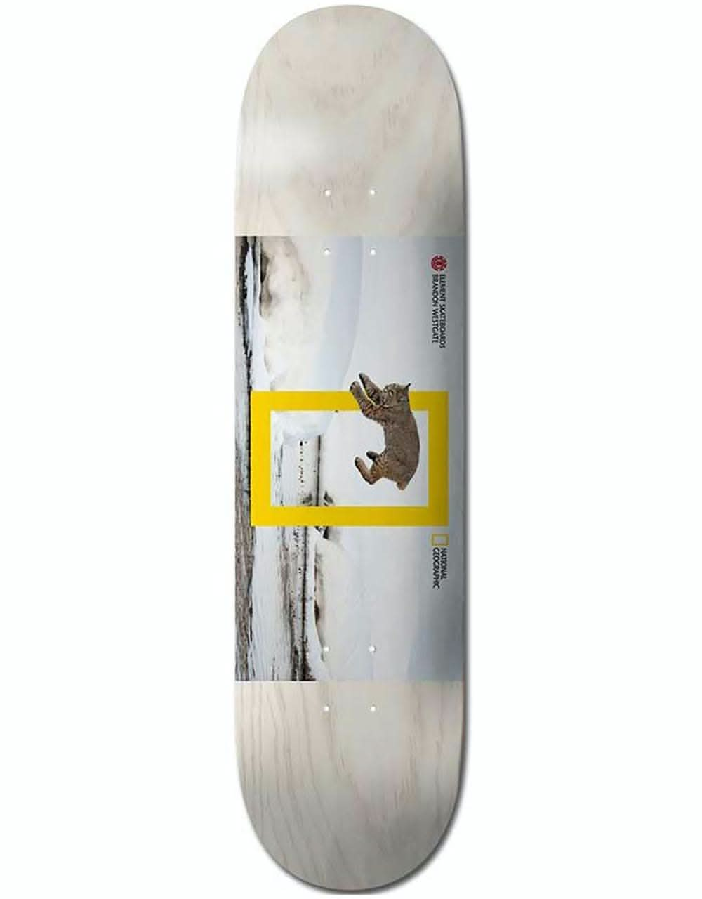 Element x National Geographic Westgate Cat Skateboard Deck - 8.125"