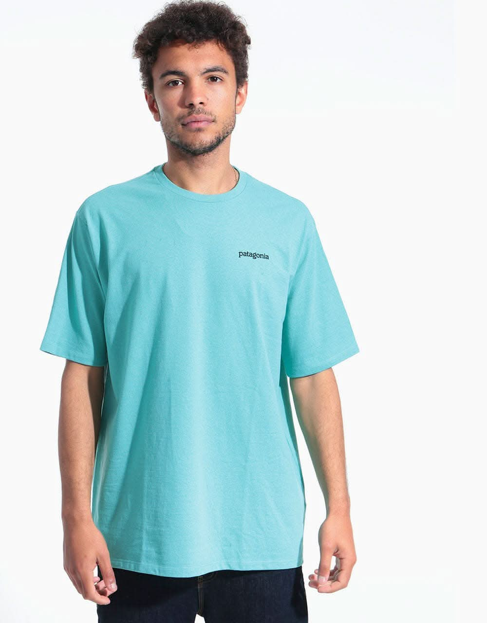 Patagonia Fitz Roy Horizons Responsibili-Tee® - Light Beryl Green