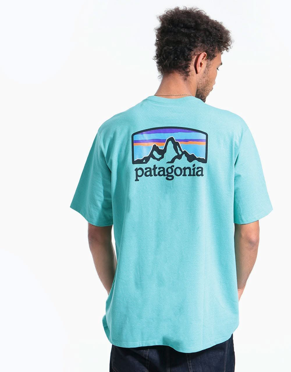 Patagonia Fitz Roy Horizons Responsibili-Tee® - Light Beryl Green