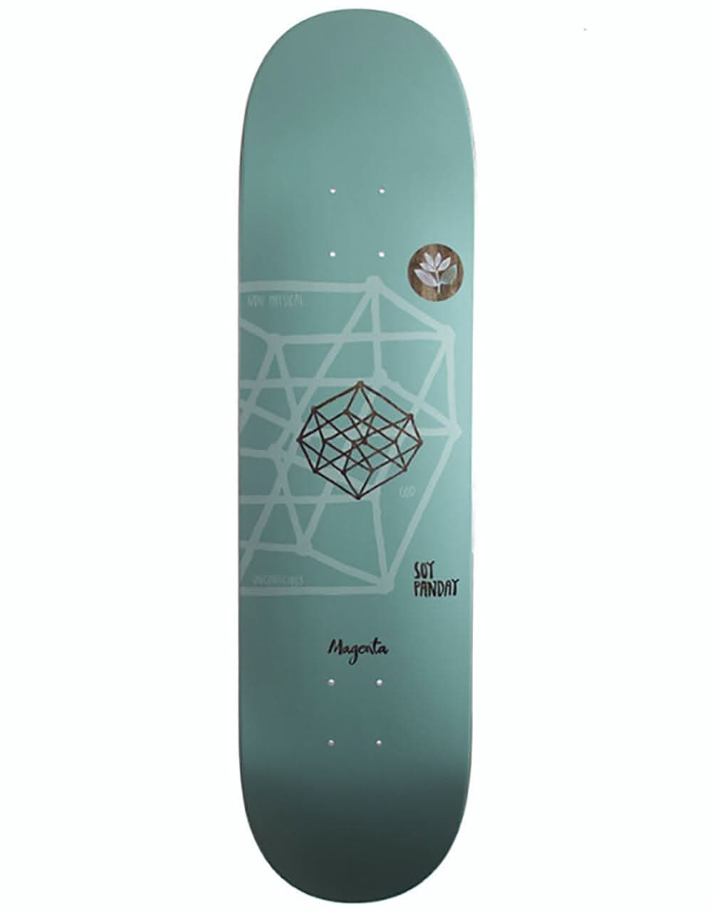 Magenta Panday Dictionary Series Skateboard Deck - 8"