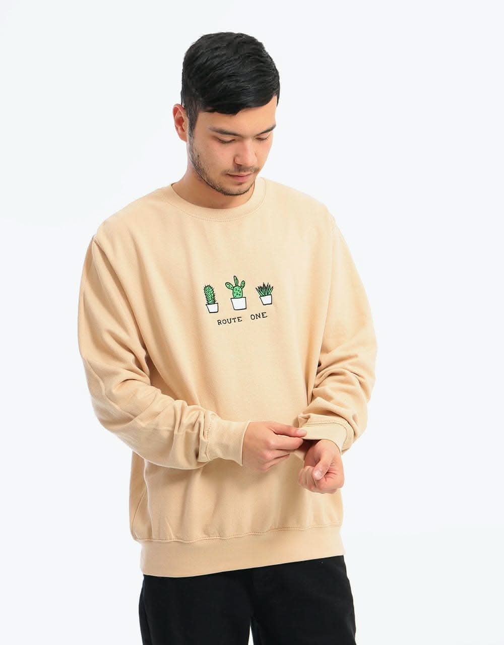 Route One Cacti Sweatshirt - Nude