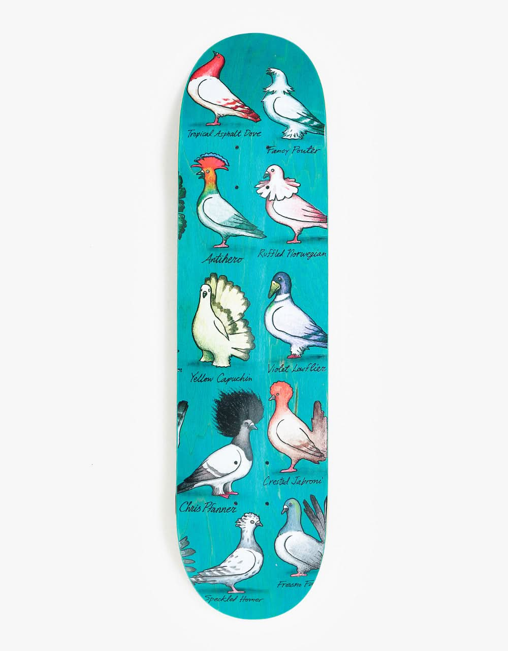 Anti Hero Pfanner Show Pigeons Skateboard Deck - 8.06"