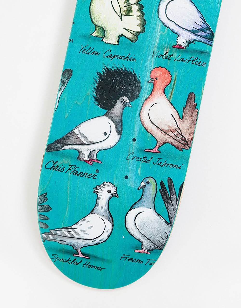 Anti Hero Pfanner Show Pigeons Skateboard Deck - 8.06"