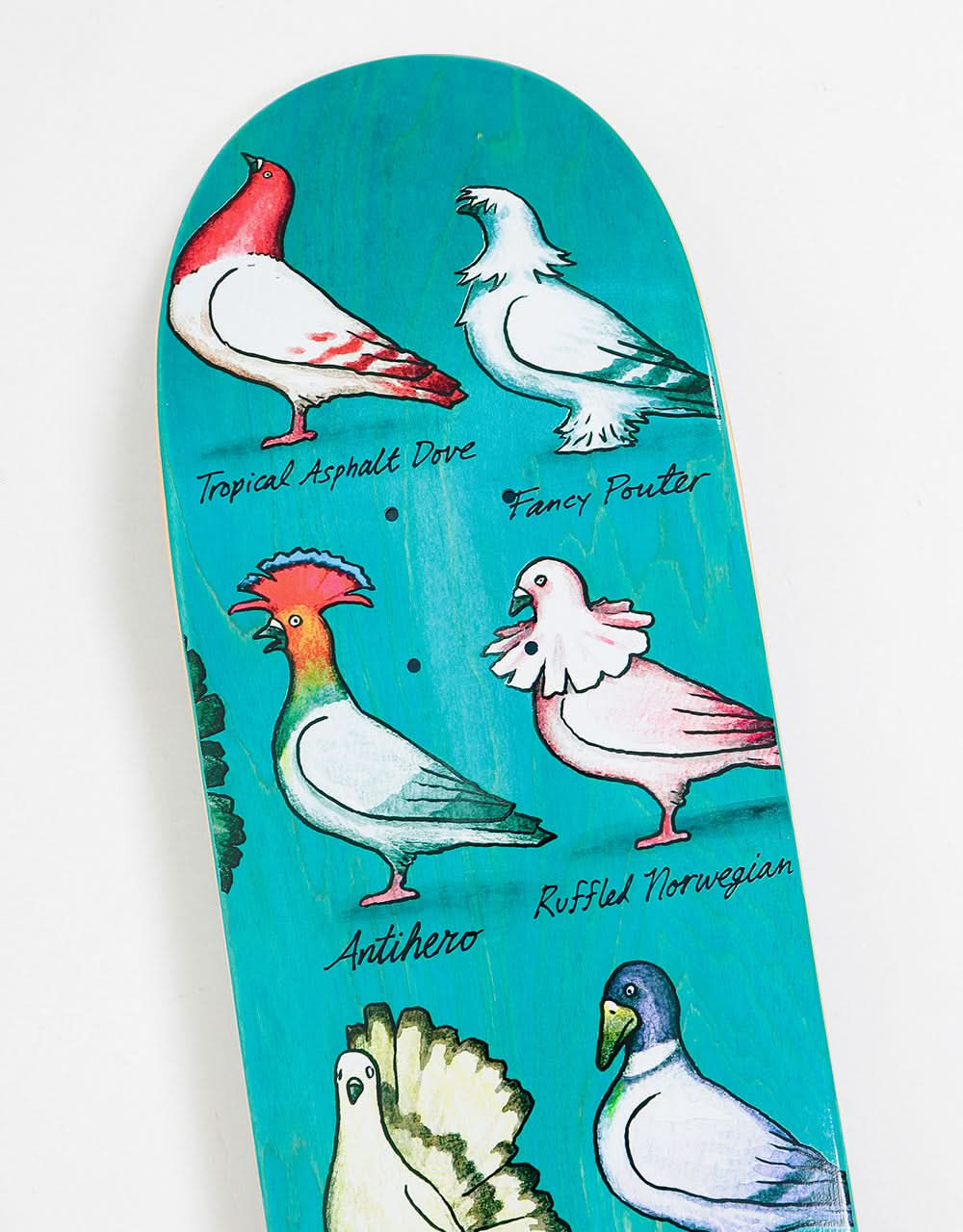 Anti Hero Pfanner Show Pigeons Skateboard Deck - 8.06"