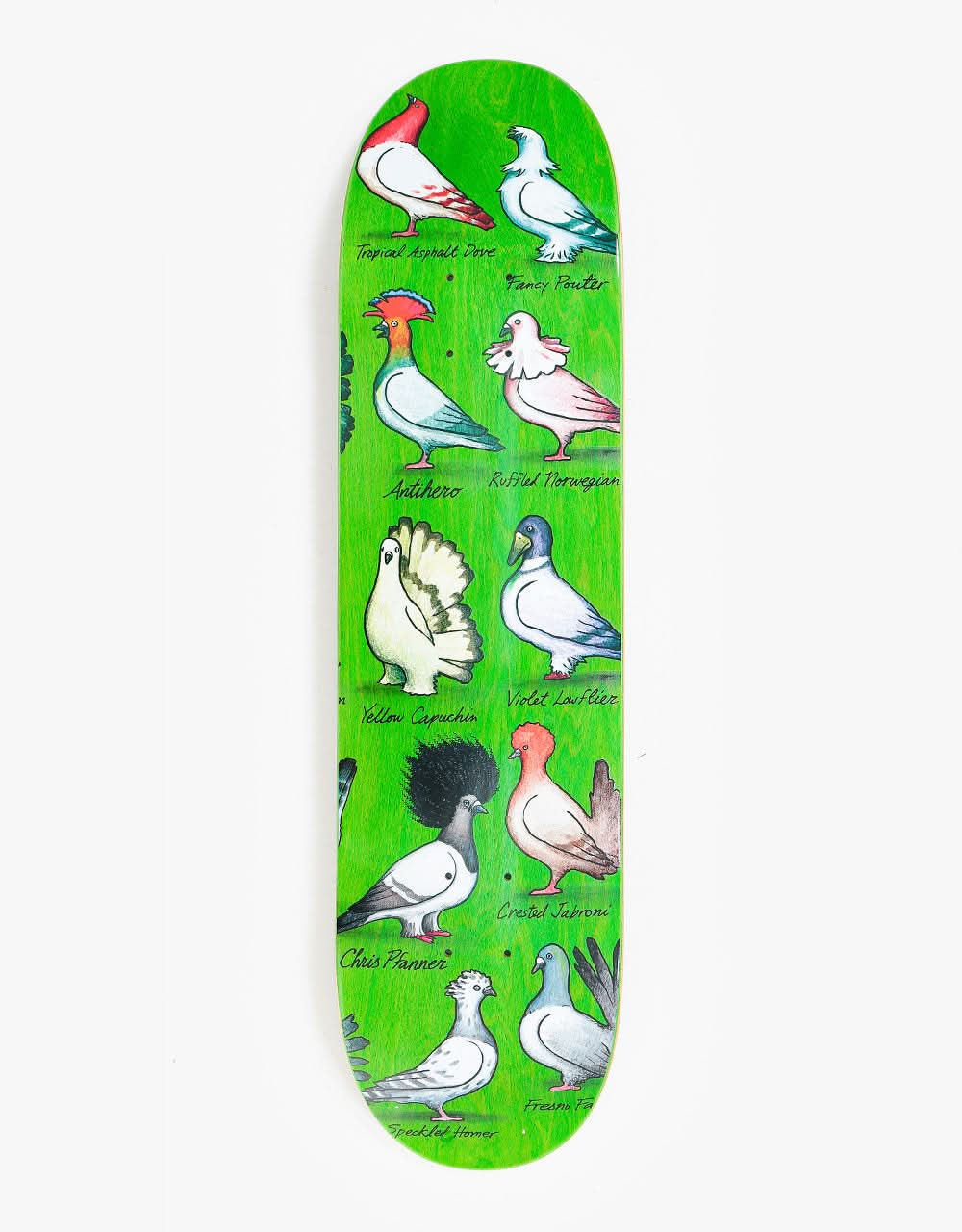 Anti Hero Pfanner Show Pigeons Skateboard Deck - 8.06"