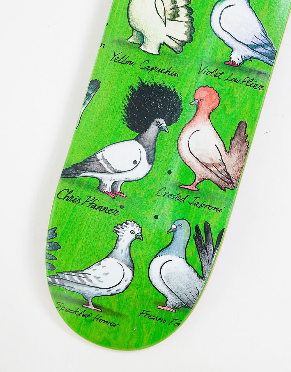 Anti Hero Pfanner Show Pigeons Skateboard Deck - 8.06"