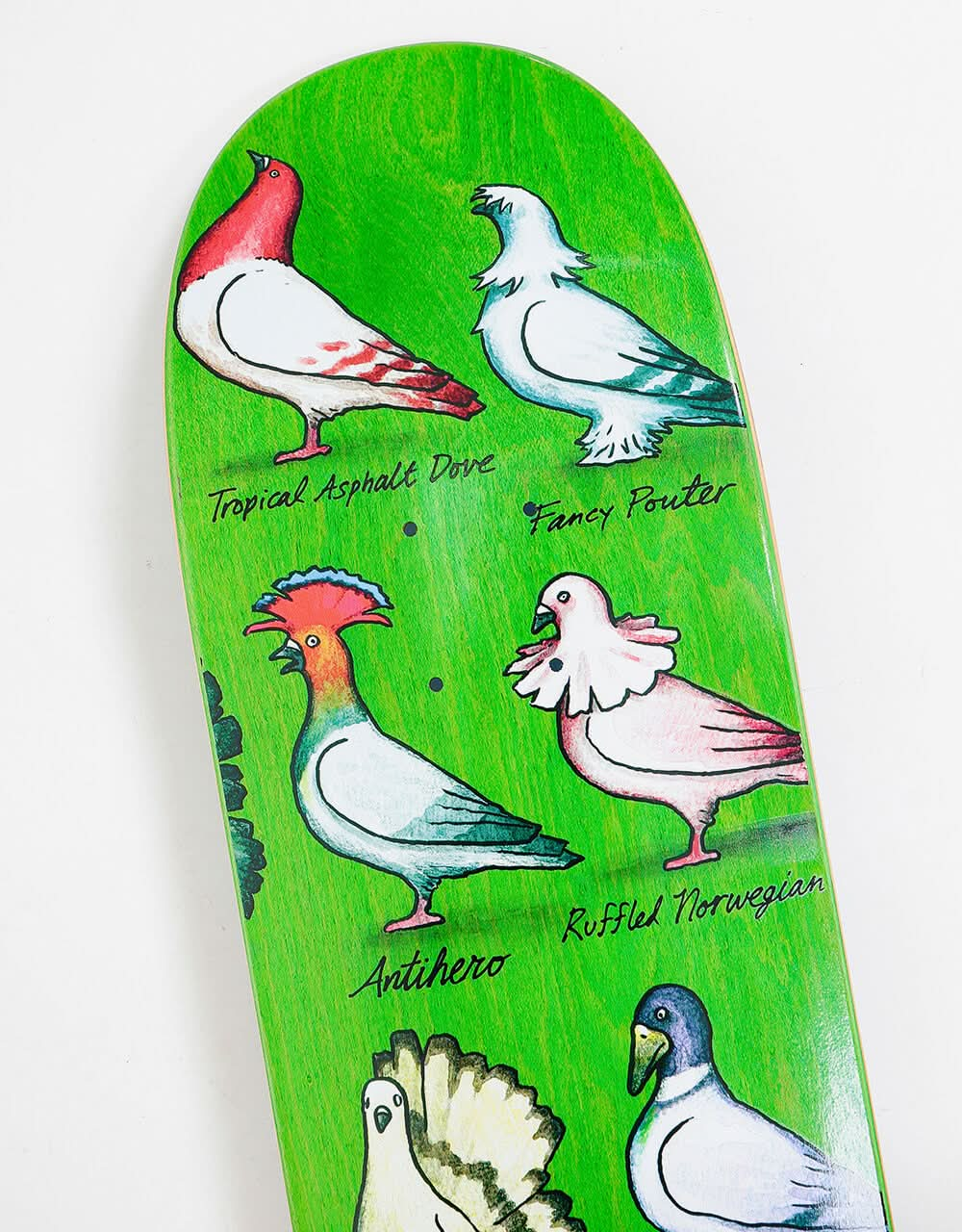 Anti Hero Pfanner Show Pigeons Skateboard Deck - 8.06"