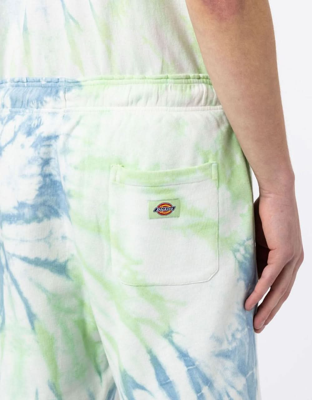 Dickies Seatac Short - Celadon Green