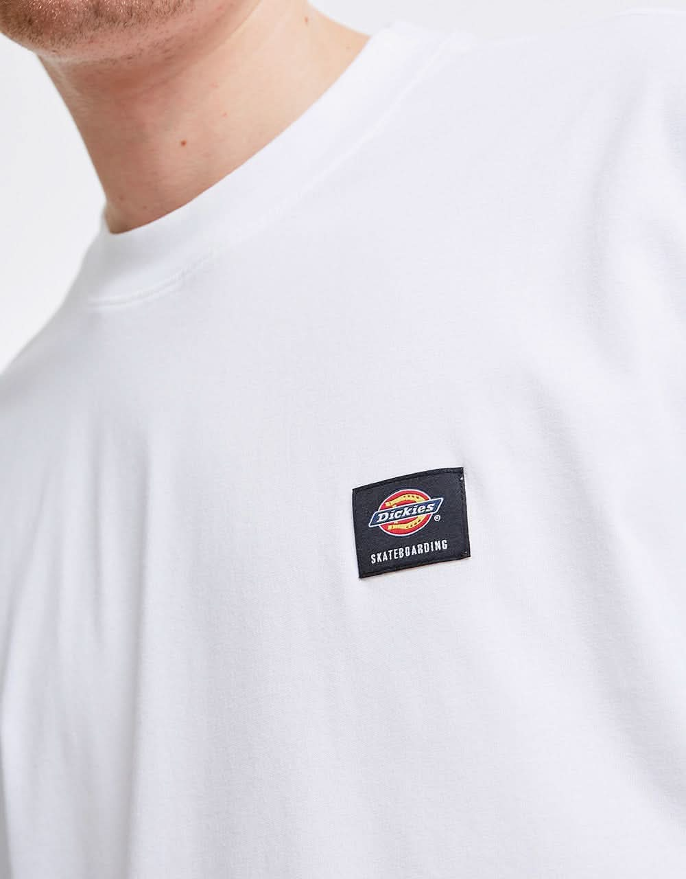 Dickies Mount Vista T-Shirt - White