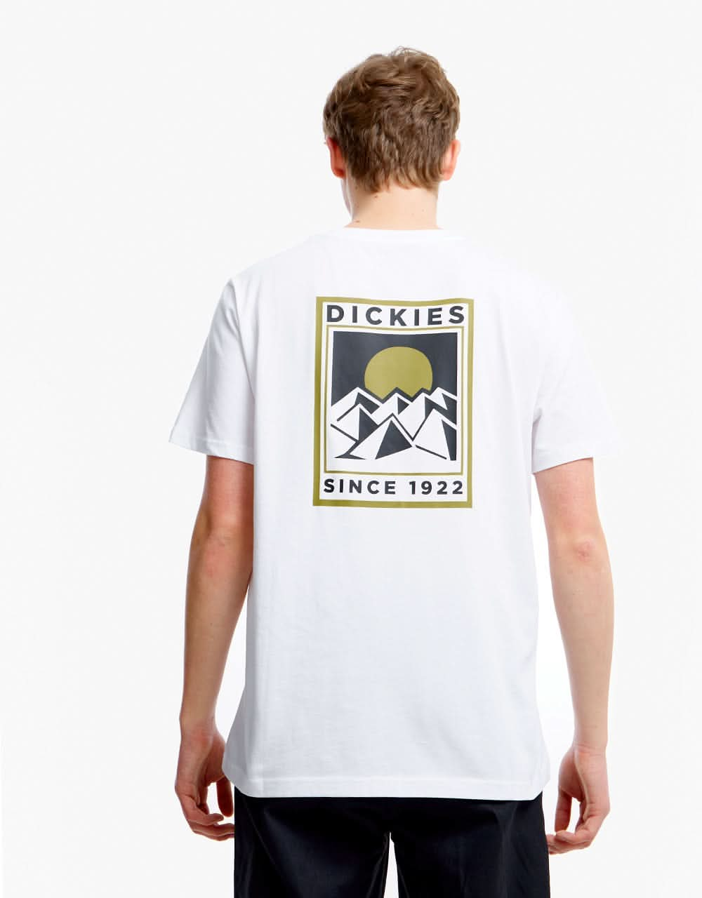 Dickies Pacific T-Shirt - White