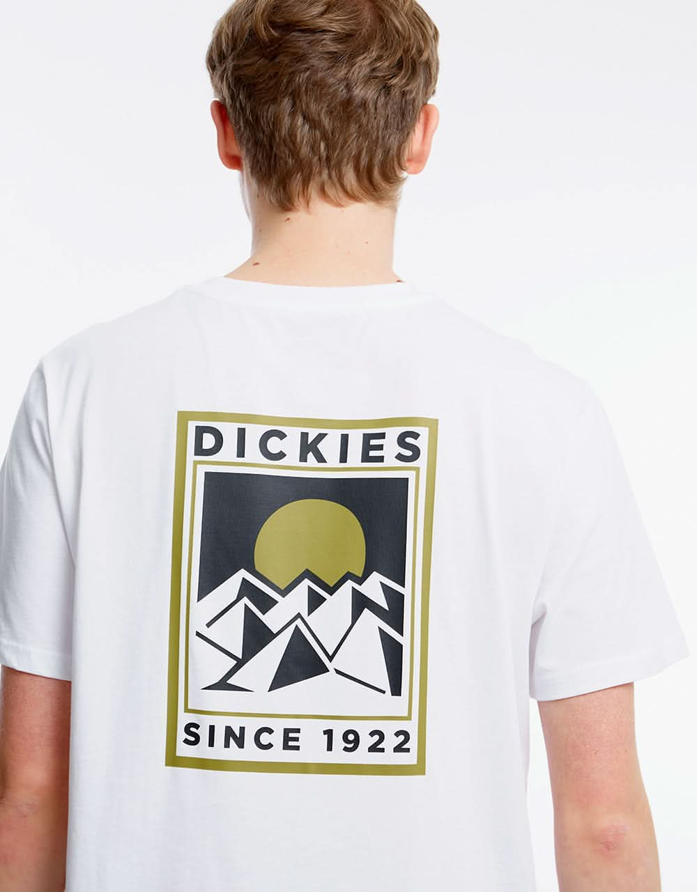 Dickies Pacific T-Shirt - White