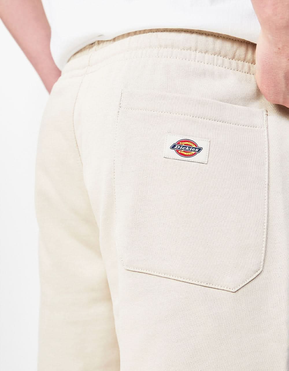 Dickies Champlin Short - Cement