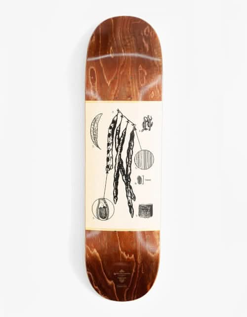 Pass Port Paul Acacia Pro Series Skateboard Deck - 8.5"