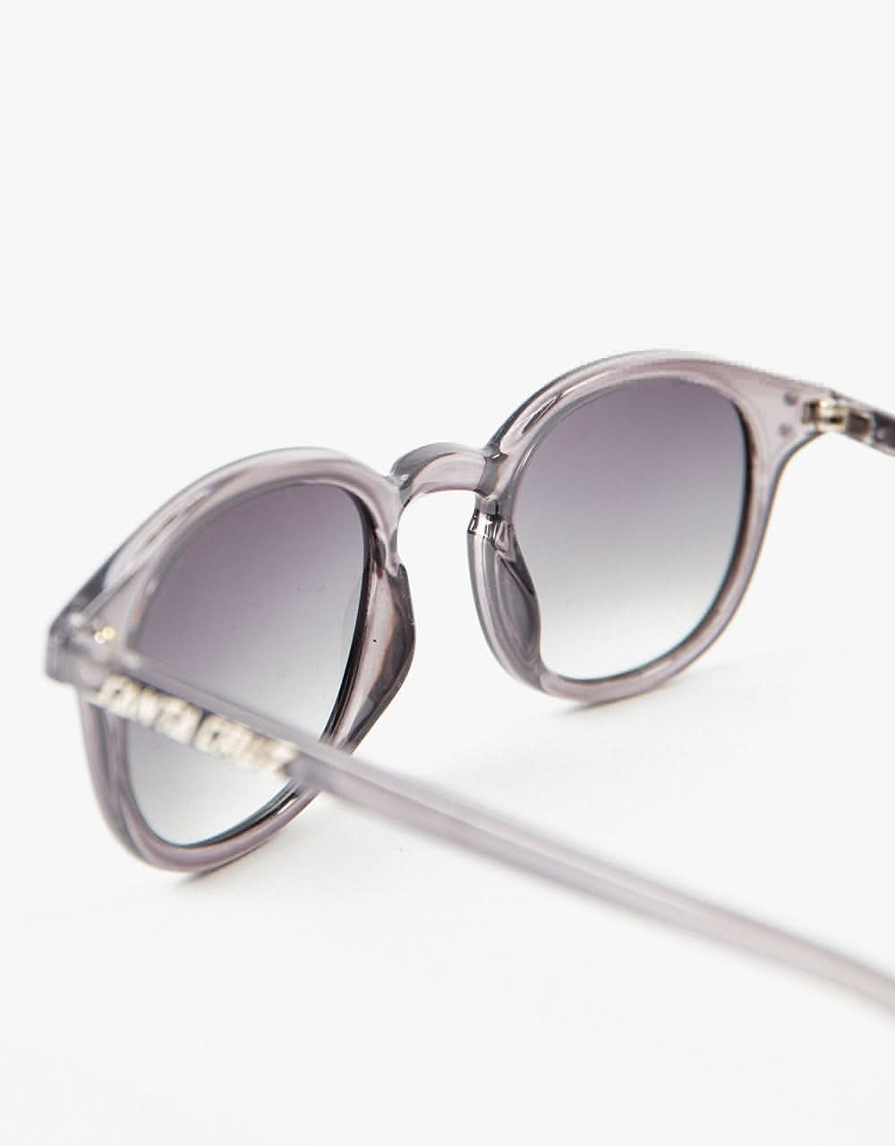 Santa Cruz Watson Sunglasses - Transparent Black