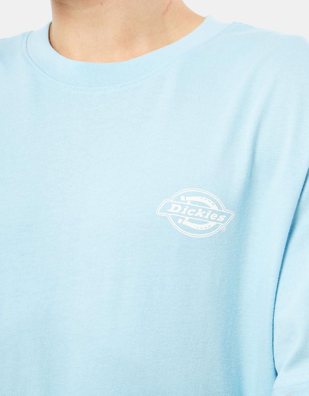 Dickies Holtville T-Shirt - Sky Blue