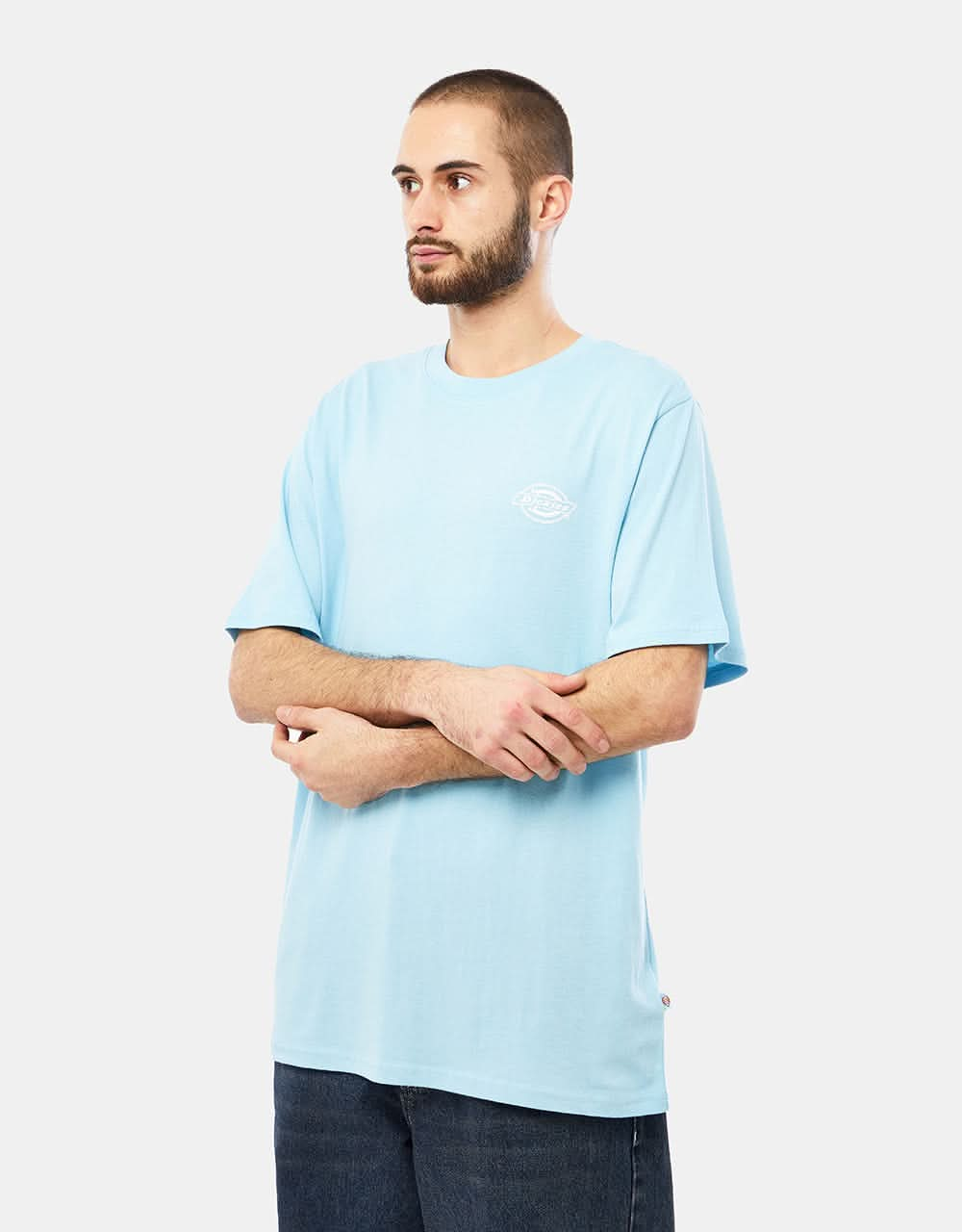 Dickies Holtville T-Shirt - Sky Blue